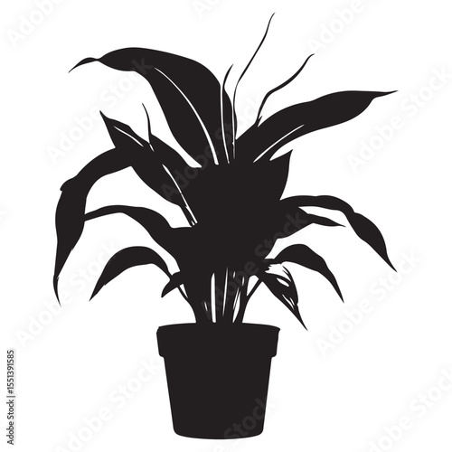 Peace lily potted plant silhouette