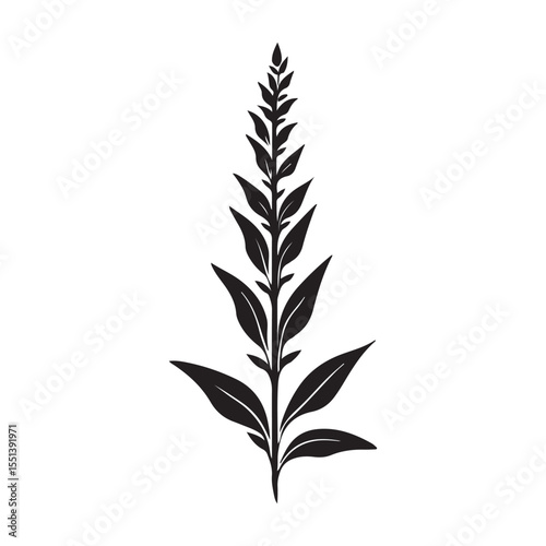 Sage flower silhouette
