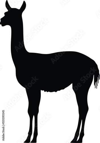 Llama silhouette vector illustration, profile view, black, editable vector graphic, animal design element, South American wildlife, elegant, simple, graphic design