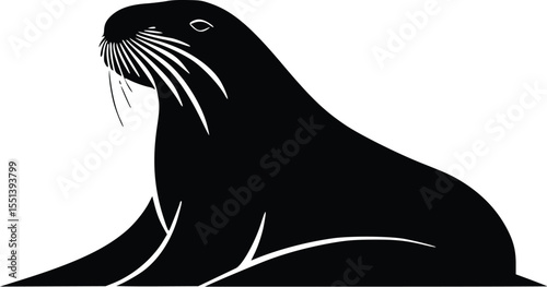 Elegant black silhouette of a sea lion resting, vector illustration