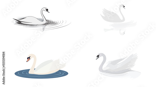 Elegant Swan Swimming – Close-Up with Water Ripples