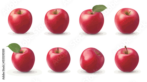 Collection of Red Apple Illustrations – Whole, Halved, and Sliced Apple Set