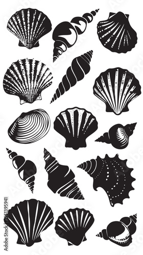 Set of sea shells silhouettes , black silhouettes isolated on white background