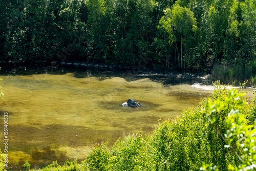 Wallpaper Mural Das Biotop im  Steinbruch,Den Großteil des Bildes nimmt das Wasser ein .In dem Wasser liegen  große Steine. Gerahmt ist das ganze von den Bäumen des Waldrands. Aufgenommen in der Vogelperspektive Torontodigital.ca