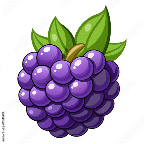 Clean Design Blackberry Fruit Vector on a White Background