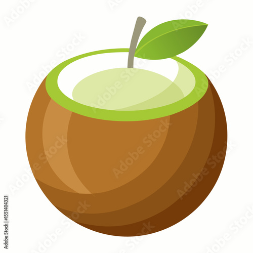 Modern Half Coconut Vector Art Isolated on White