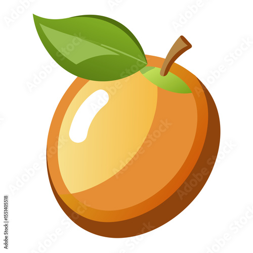Clean Design Sapodilla Fruit Vector Illustration