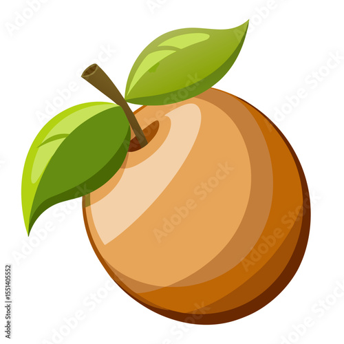 Modern Chikoo Fruit Vector Art Isolated on White