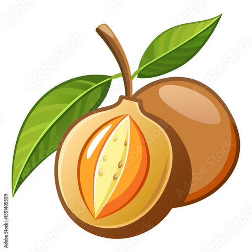 Minimalist Manilkara Zapota Icon for Tropical Fruit Concepts
