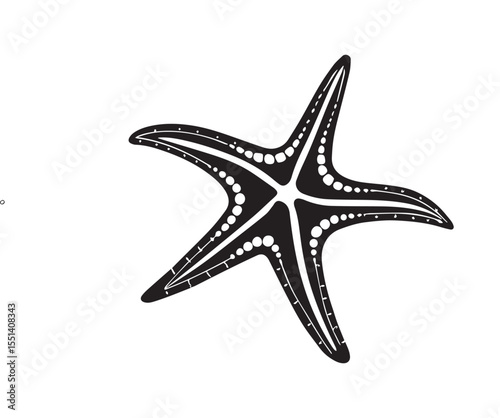 starfish on white background