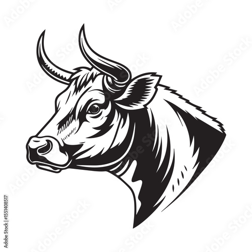 black and white cow