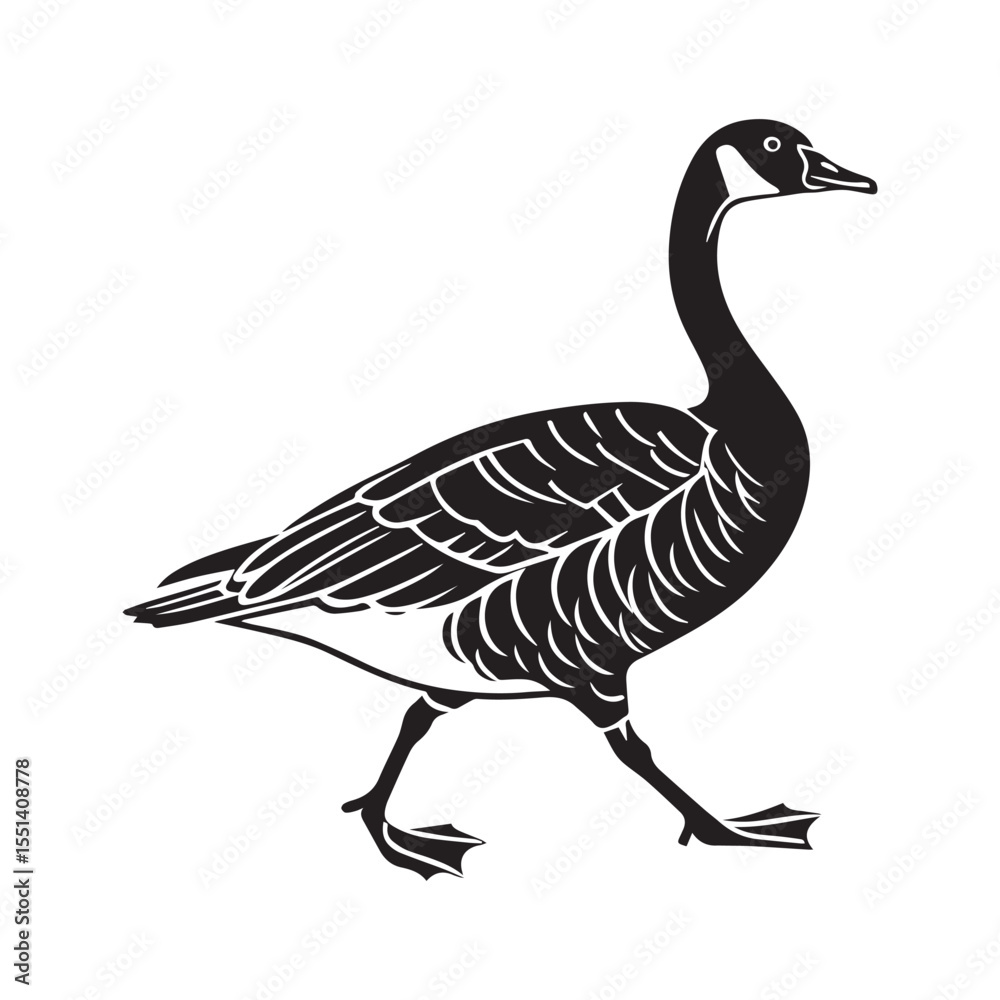 Fototapeta premium goose on white background