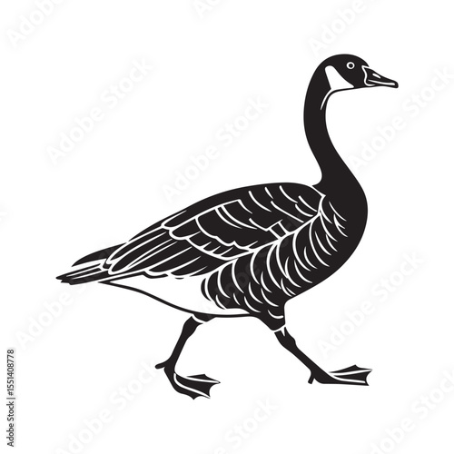 goose on white background