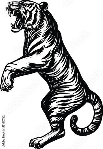 Aggressive tiger silhouette, standing on hind legs, roaring, editable vector illustration, black and white, wildlife art, animal portrait, fierce predator,