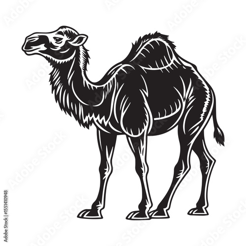 camel vector illustration