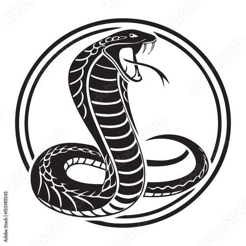 snake vector illustration