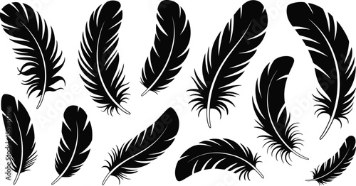  vector illustration