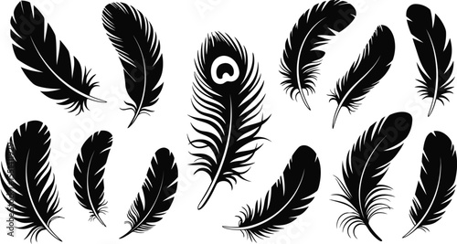 set of feather