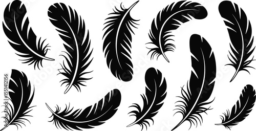 feathers seamless pattern