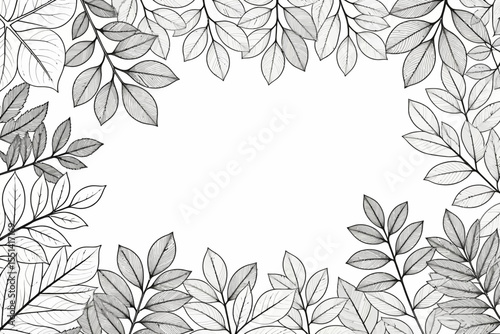 Wallpaper Mural Elegant Leaf Border Illustration-Botanical Frame with Space for Text-Delicate Black and White Leaves-Nature Inspired Design Element-Minimalist Plant Artwork Torontodigital.ca
