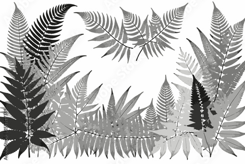 Fern Fronds Botanical Art-Monochrome Fern Pattern Background-Elegant Fern Leaf Design-Nature Inspired Home Decor-Black and White Fern Illustration