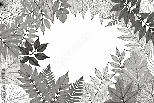 Monochrome Leaves and Ferns Frame-Botanical Illustration with Copy Space-Elegant Black and White Foliage Design-Natural Element Background for Creative Projects
