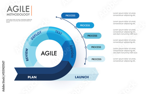 Agile methodology sprint life cycle chart. infographic software development. vector