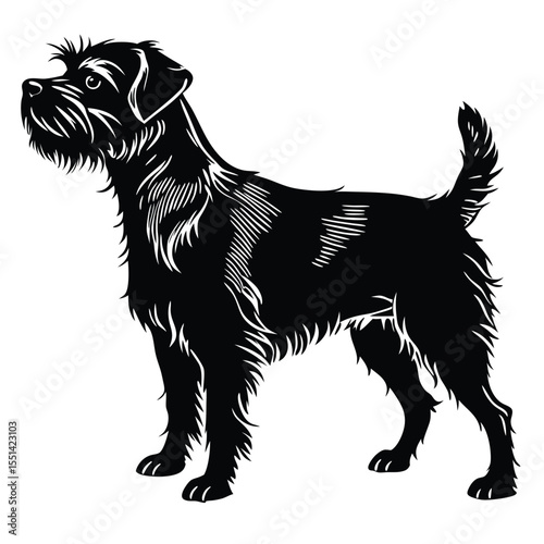 Elegant Black and White Illustration of a Wiry Haired Dog Breed Standing Proudly With Detailed Fur Texture and Expressive Features