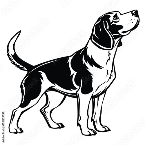 Elegant Beagle Illustration Portraying Canine Grace and Breed Specific Charm with a Striking Black and White Composition, Revealing the Dog's Dignity