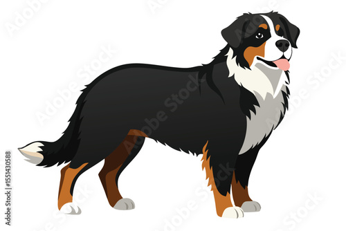 Majestic Bernese Mountain Dog Standing Proudly A Colorful Vector Illustration Depicting a Classic Breed in a Timeless Pose