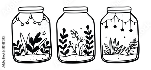 Three decorative jars containing different types of greenery with star accents in a hand drawn black and white illustration.