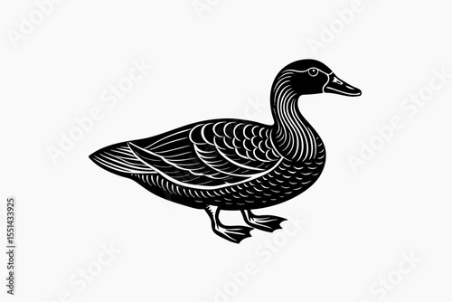 Duck design vector