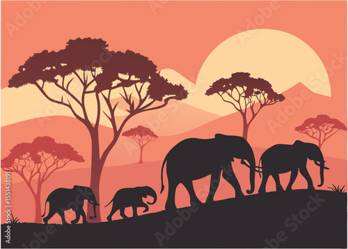 Silhouette of elephants walking across the African savanna at sunset vector illustration