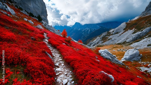 Vibrant Autumn Mountain Trail Covered with Colorful Red Leafs Beauty