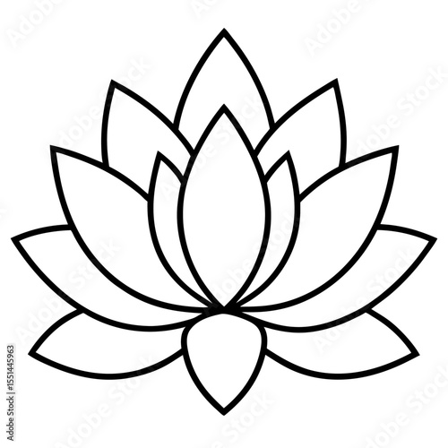 Minimal Lotus Line Art Illustration