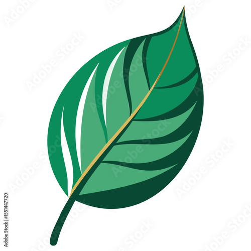 Elegant Tree Leaf Vector Art
