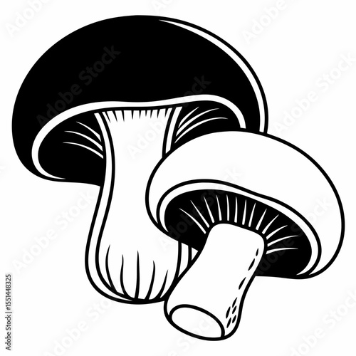 Black and White Illustration of Two Mushrooms with Visible Gills
