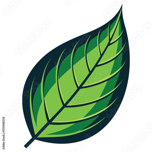 Elegant Tree Leaf Vector Art