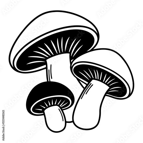 Black and White Illustration of Three Mushrooms with Gills and Rounded Caps
