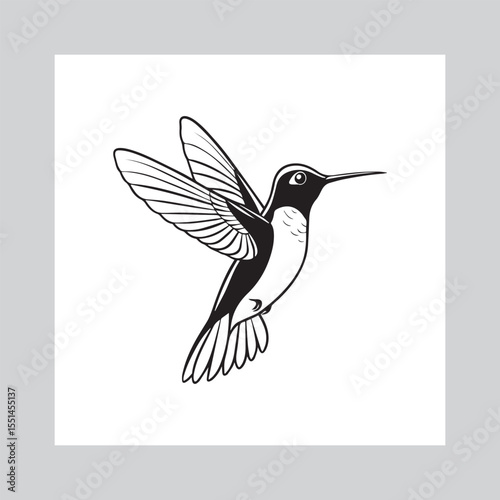 Hummingbird Flying vector 