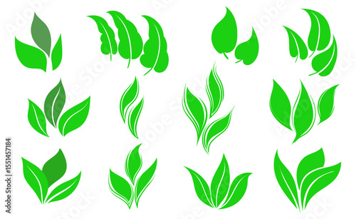 Green leaves icons set isolated on white background vector illustration. Collection of green leaves. Template for package and cover. Vegan, tree, plant, fresh, energy and healthy nutrition concept.