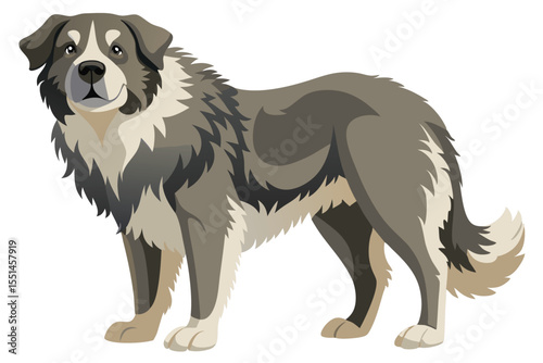 Majestic Central Asian Shepherd Dog Illustration of a Proud Livestock Guardian Dog with Thick Coat and Powerful Build Standing Tall