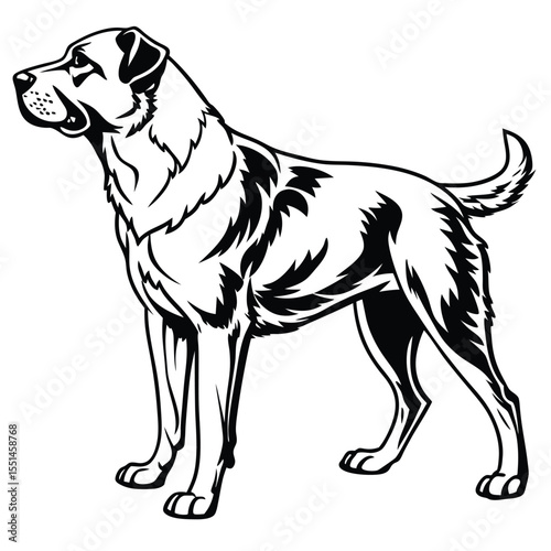 Majestic Black and White Dog Illustration Standing Tall A Canine Silhouette of Breed and Loyalty Showcased in Striking Detail