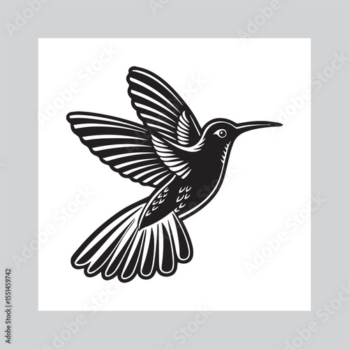 Hummingbird Flying vector 