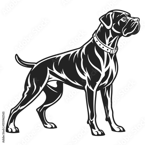 Majestic Boxer Dog Vector Illustration Portraying Strength and Elegance a Timeless Design for Canine Enthusiasts and Graphic Applications Alike