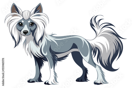 Elegant Chinese Crested Dog with Flowing White Mane and Tail, Standing in a Graceful Pose on a White Background