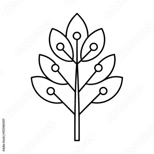 a flowering beech tree with elliptical leaves and 