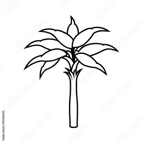 a flowering banana tree with curved flower spikes 