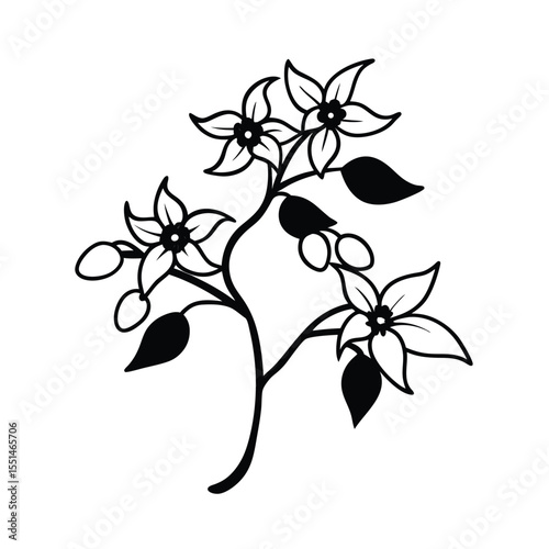 a flowering citrus tree with orange blossoms and c