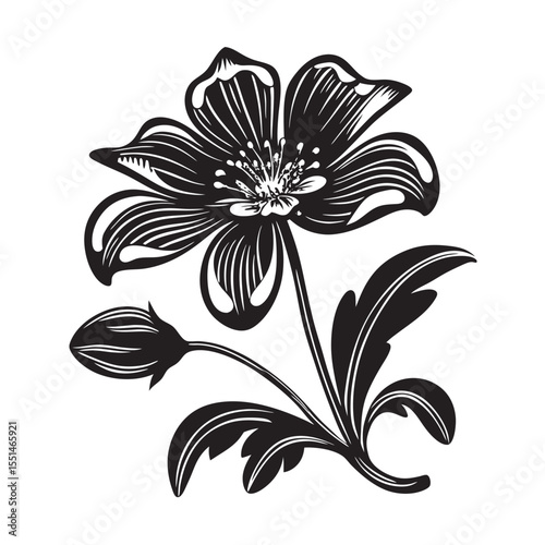  silhouette of single unique design flower of alpine on the white background    